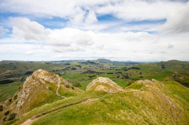Te Mata tepe görünümü Yeni Zelanda