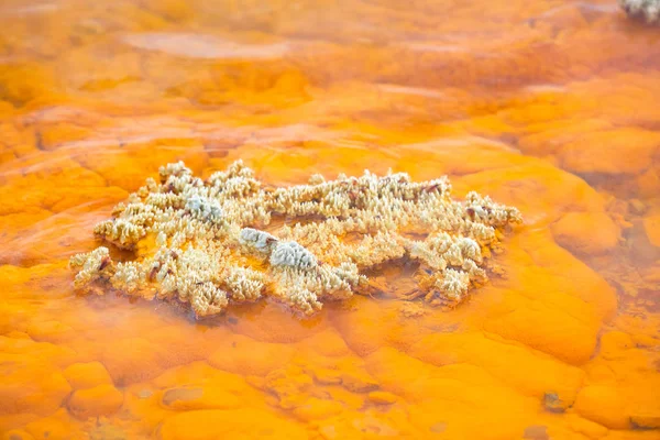 WAI-О-Tapu геолого-функція — стокове фото