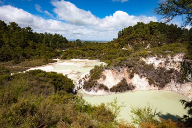 Wai-O-Tapu jeolojik özelliği