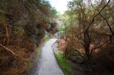 Wai-O-Tapu jeolojik özelliği
