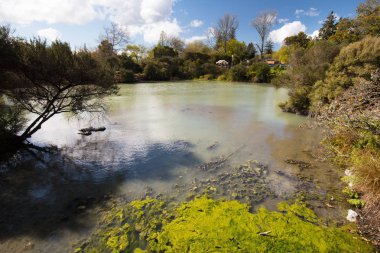 Kuirau Park Rotorua