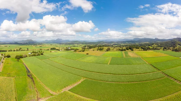 Australijskie pola trzciny cukrowej i krajobraz — Zdjęcie stockowe