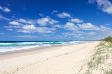 Fingal kafa Dreamtime Beach