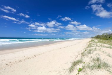 Fingal kafa Dreamtime Beach
