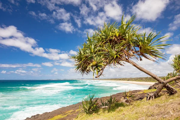 Fingal cabeza Dreamtime playa — Foto de Stock