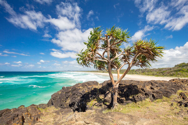 Fingal Head Dreamtime Beach