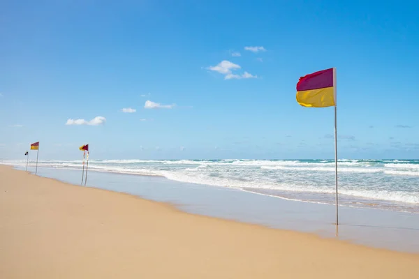 Gold Coast Lifeguard — Stock Photo, Image