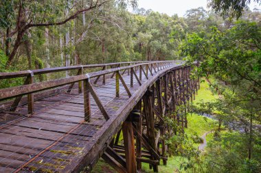 Victoria Avustralya 'da Noojee Trestle Demiryolu Köprüsü