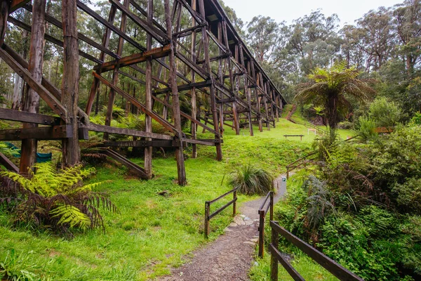 Noojee Trestle Rail Bridge em Victoria Austrália — Fotografia de Stock