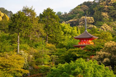 Kiyomizu-dera Tapınağı Kyoto Japonya