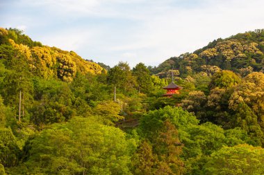 Kiyomizu-dera Tapınağı Kyoto Japonya