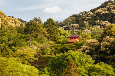 Kiyomizu-dera Tapınağı Kyoto Japonya