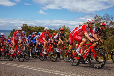 2020 Cadel Evans Büyük Okyanus Yarışı