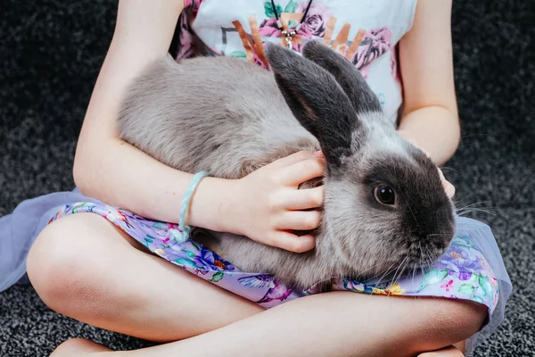 En Lop Rabbit med en liten flicka — Stockfoto