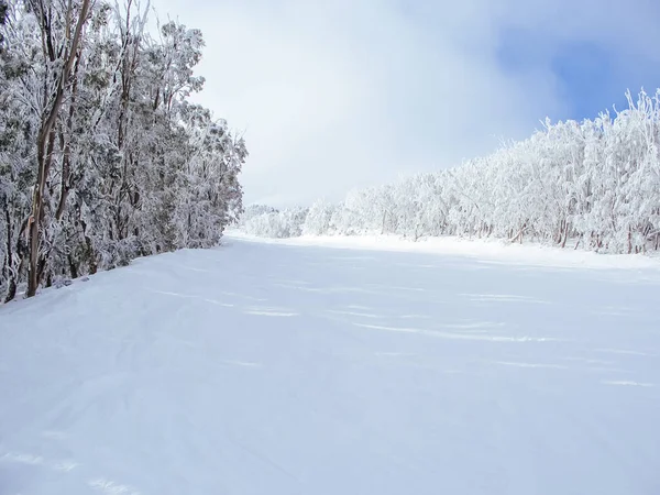 Mt Buller Zimą w Australii — Zdjęcie stockowe