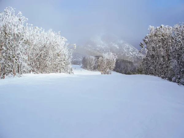 Mt Buller Κατά τη διάρκεια του χειμώνα στην Αυστραλία — Φωτογραφία Αρχείου