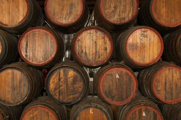 Barris de vinho em armazém — Fotografia de Stock