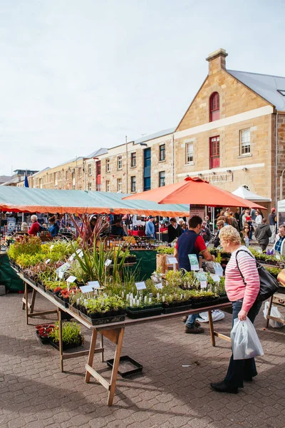 Salamanca Market in Tasmania Australia — стокове фото