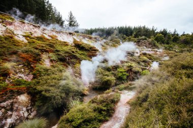 Wairakei Yeni Zelanda 'daki Doğal Termal Vadisi