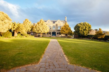 Takahe 'nin işareti, Cashmere Hill' de.
