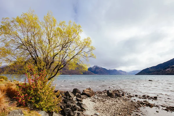 Queenstown Gardens στη Νέα Ζηλανδία — Φωτογραφία Αρχείου