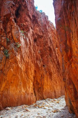 Avustralya 'da Alice Springs yakınlarında Standley Chasm