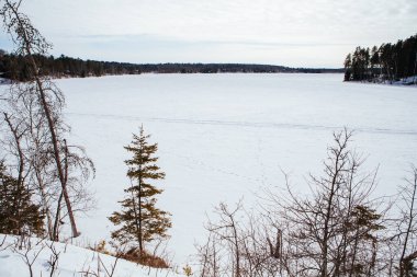 Kötü İlaç Gölü