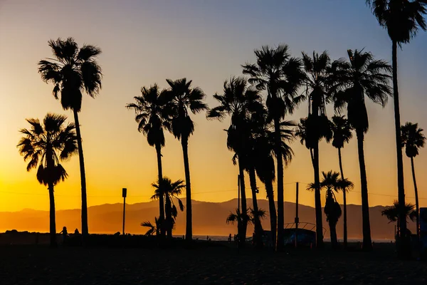 Venice Beach puesta de sol — Foto de Stock