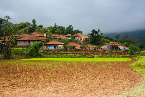 Vidéki mezőgazdasági közösség Indiában — Stock Fotó