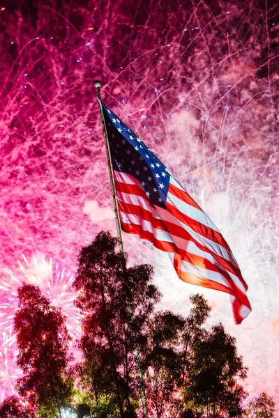 Independance Day Fireworks — Stock Photo, Image