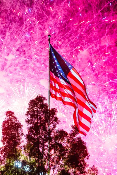 Independance Day Fireworks — Stock Photo, Image