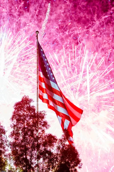 Independance Day Fireworks — Stock Photo, Image