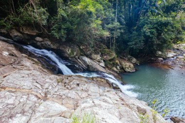 QLD Avustralya 'da Cougal Cascades Yürüyüşü