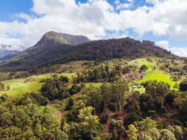 Avustralya 'da Numinbah çevresindeki manzara