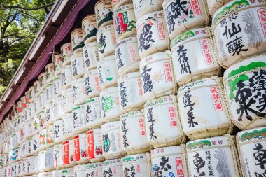 Tokyo 'daki Meji-jingu Tapınağı