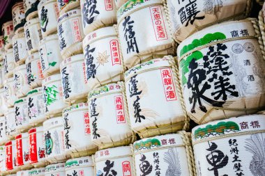 Tokyo 'daki Meji-jingu Tapınağı