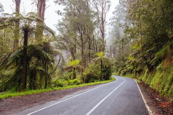 Väg till Noojee i Victoria Australien — Stockfoto