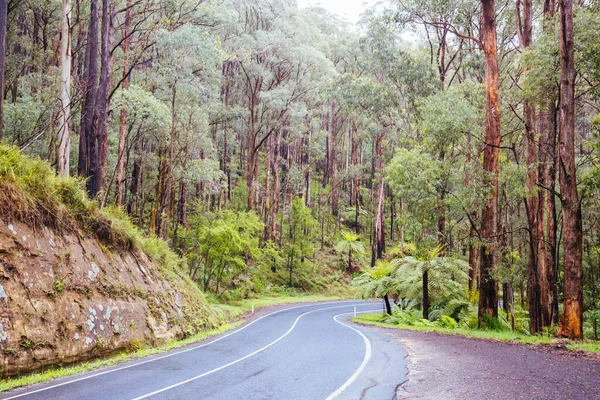 Camino a Noojee en Victoria Australia — Foto de Stock