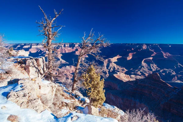 Grand Canyon en hiver aux Etats-Unis — Photo