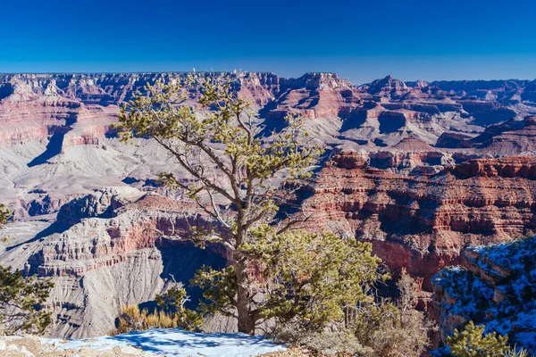 Grand Canyon en hiver aux Etats-Unis — Photo