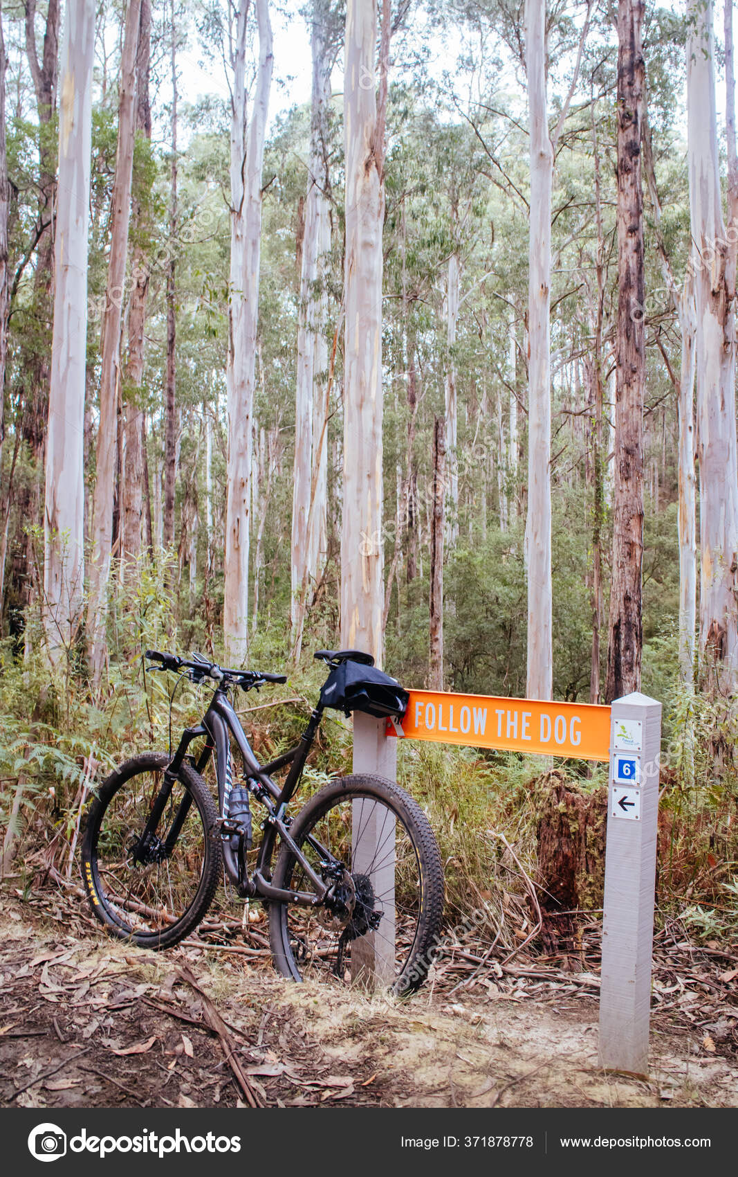 You Yangs Mtb Trails You Yangs Regional Park Shop Mountain