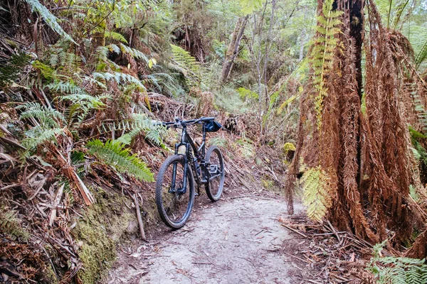 Forrest Mountain Bike Park i Australien — Stockfoto