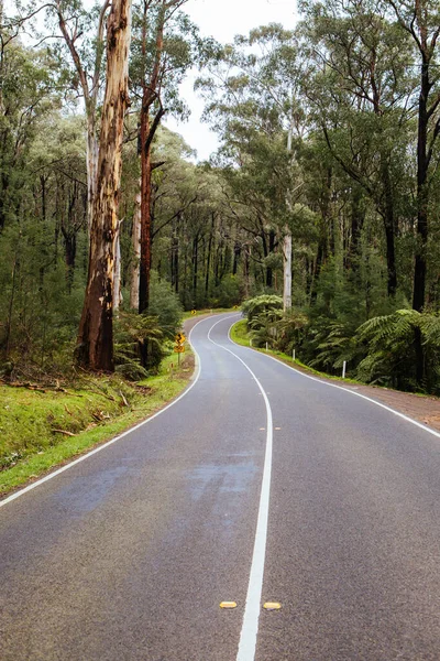 Zwarte sporen landschap in Australië — Stockfoto