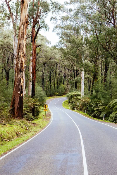 Schwarzspurlandschaft in Australien — Stockfoto