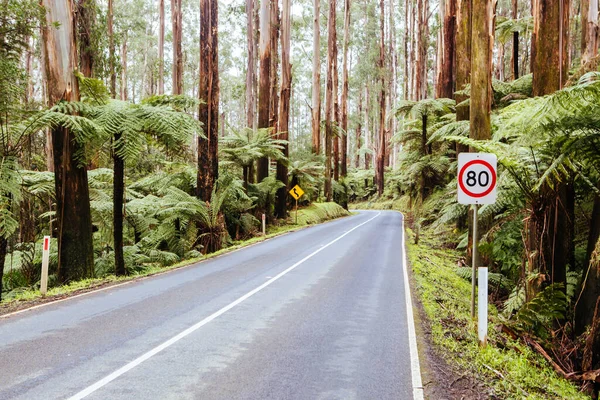 Black Spur Scenery i Australien — Stockfoto