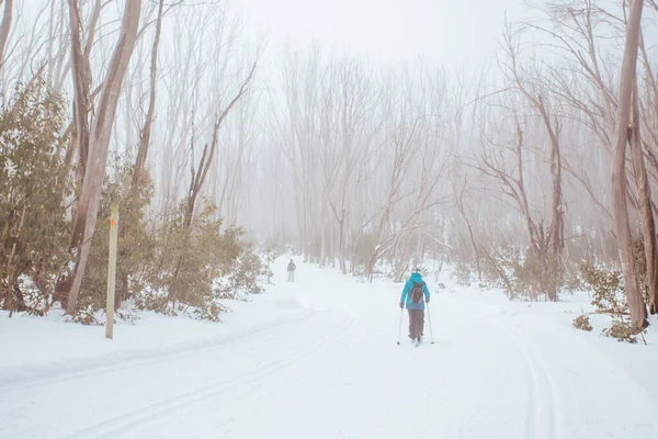 Lake Mountain Trails in Australia — Stock Photo, Image