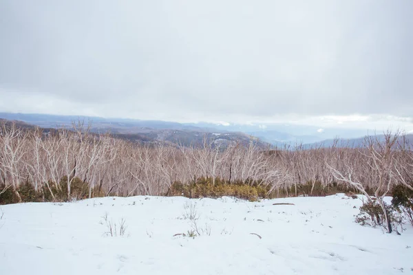 Λίμνη Mountain Σύνοδο Κορυφής στην Αυστραλία — Φωτογραφία Αρχείου