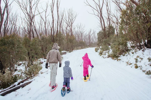 Família Snowshoeing em Lake Mountain Austrália — Fotografia de Stock