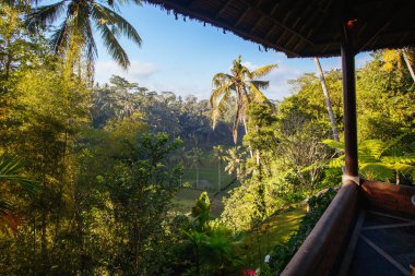 Bali Endonezya 'da lüks konak