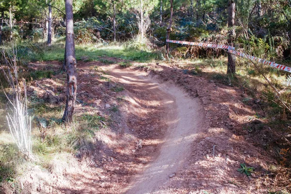 Bright Mountain Bike Park в Австралии — стоковое фото